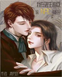 ����������ϷװNPC������