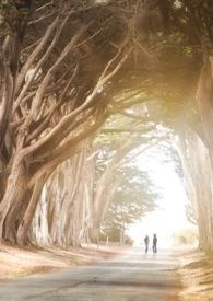 ��Լ����Ч����