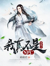 治NPC