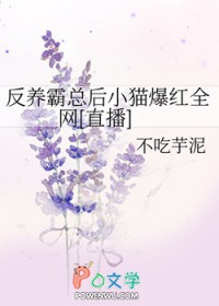 �������ܺ�Сè����ȫ��[ֱ��]