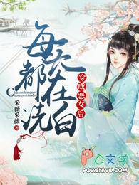 �����޽���С˵